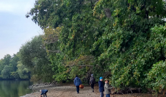 Eine schöne Wanderung Foto: Katja Barth