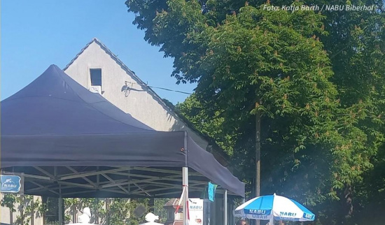 Foto: Katja Barth