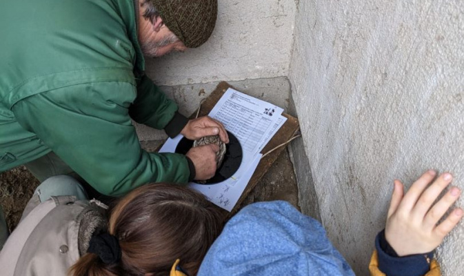 Und wie schwer ist der kleine Steinkauz? – Foto: Clara Liegau