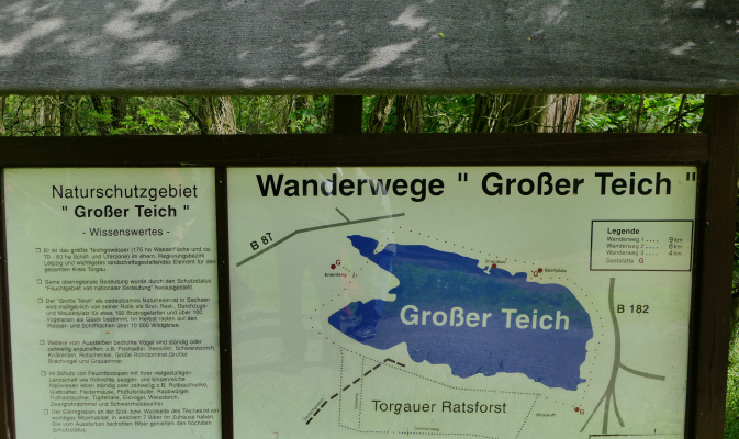 Durch die Informationstafel erhalten die Seminarteilnehmer eine Übersicht zum südwestlich vom Großen Teich gelegenem Exkursionsziel Torgauer Ratsforst. – Foto: Jan Gregorczyk