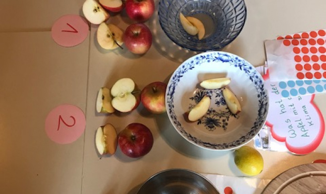Die JuNa's probierten verschiedene Apfelarten. – Foto: Anne-Helene Pirl
