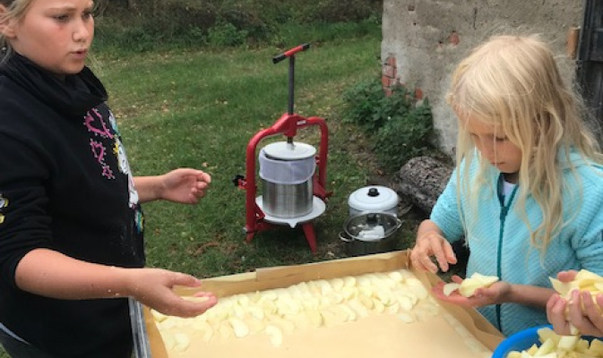 Der Apfelkuchen nimmt langsam Form an. – Foto: Anne-Helene Pirl