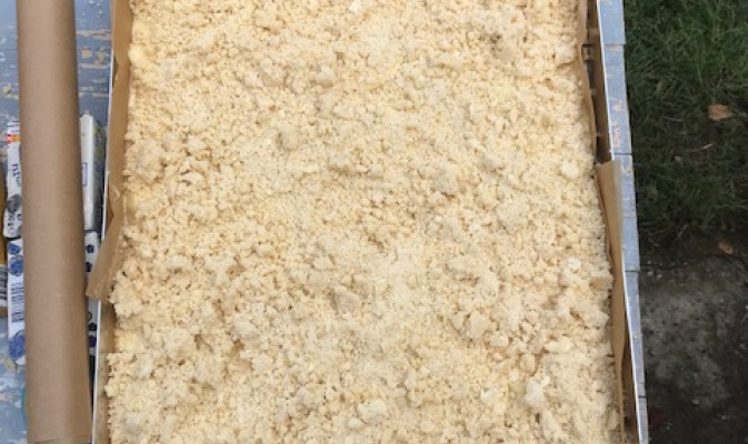 Jetzt muss der Kuchen nur noch in den Ofen! – Foto: Anne-Helene Pirl
