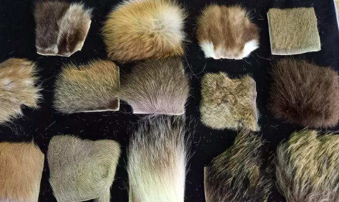 Felle raten ist wie immer, bei groß und klein, beliebt – Foto: Katja Barth