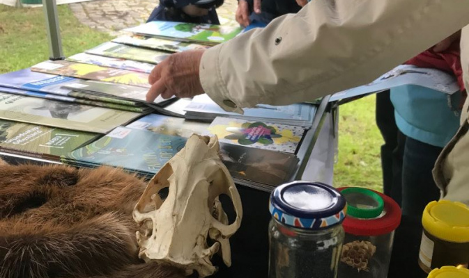 Besucherin und Besucher schauen durch die Flyer und das Infomaterial. – Foto: Anne-Helene Pirl