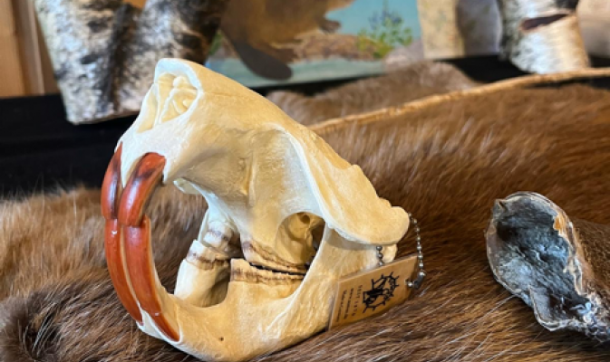 Keine Sorge, die Farbe hat nichts mit mangelnder Zahnhygiene zu tun - sie wird durch eine Eisenschicht verursacht – Foto: Anne Pirl