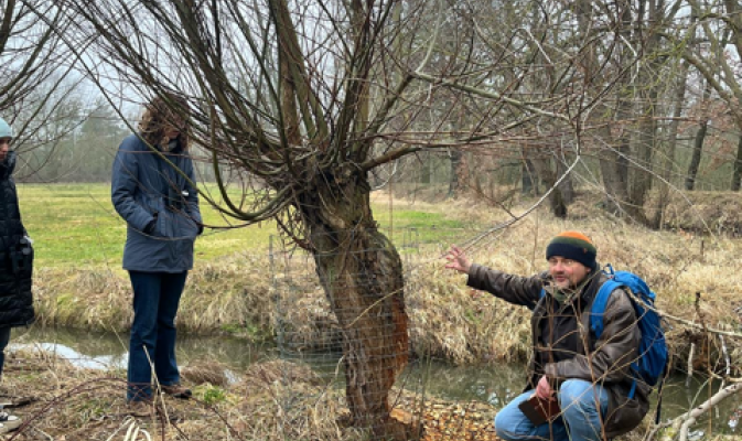 Keine Weide ist vor dem hungrigen Baumeister sicher! – Foto: Anne Pirl