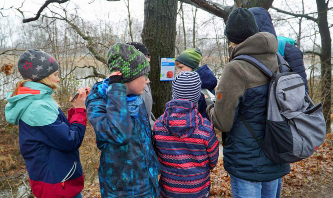 Ein Wollknäuel am Großen Teich? – Foto: Katja Barth