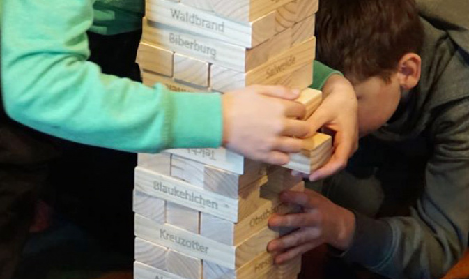 Vielfalt durch Jenga-Spiel verdeutlicht! – Foto: Katja Barth