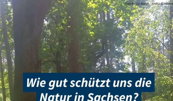 Foto: Katja Barth