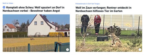 TZ vom 08.04. und 17.12.2025 Foto: Nico Wendt