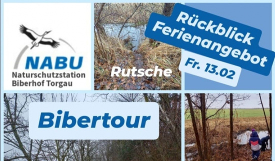 Bibertour am Großen Teich Torgau Foto: Katja Barth