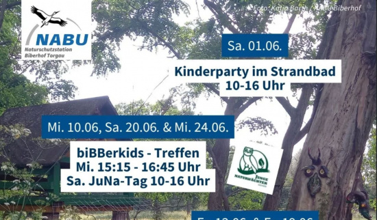 Foto: Katja Barth