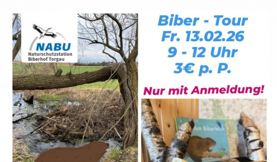 Winterferienangebot 2026 Grafik: Katja Barth