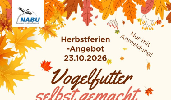 Futterspaß für Vögel Foto: NABU