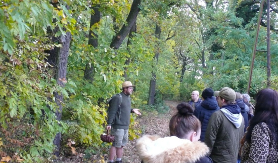 BfD Seminar Pilze, Wurzeln und Waldgemüse. Pilz auf dem Blatt: Mehltau Foto: Wencke Kohlmüller